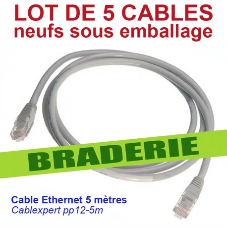 LOT de 10 câbles réseau Ethernet RJ45 longueur 5 mètres Cat. 5e NEUFS !